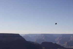 Gran Canyon